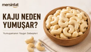 Kaju Neden Yumuşar?
