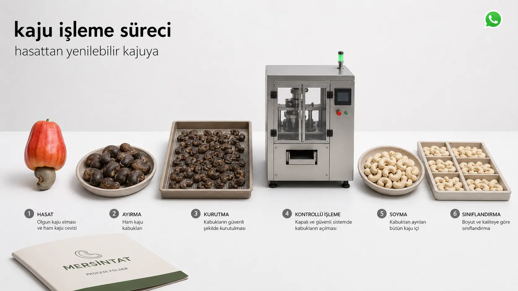 Kajunun hasattan yenilebilir çekirdeğe kadar işleme süreci
